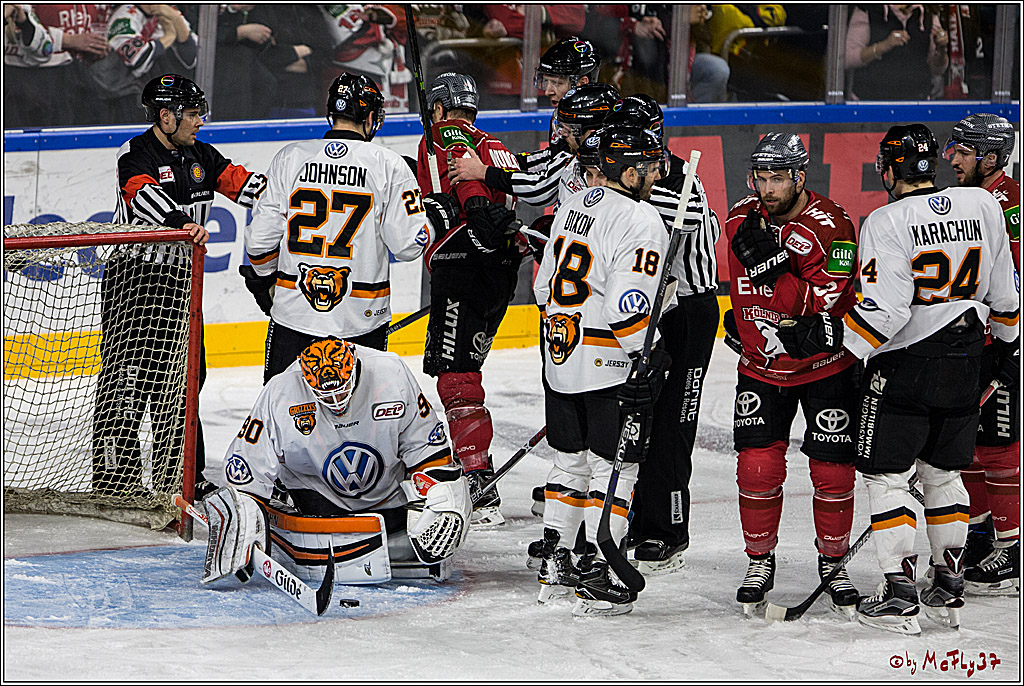 DEL, Koelner Haie - Grizzlys Wolfsburg, 17.03.2017